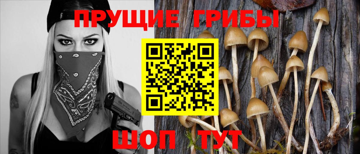 Галлюциногенные грибы мухоморы Ялта