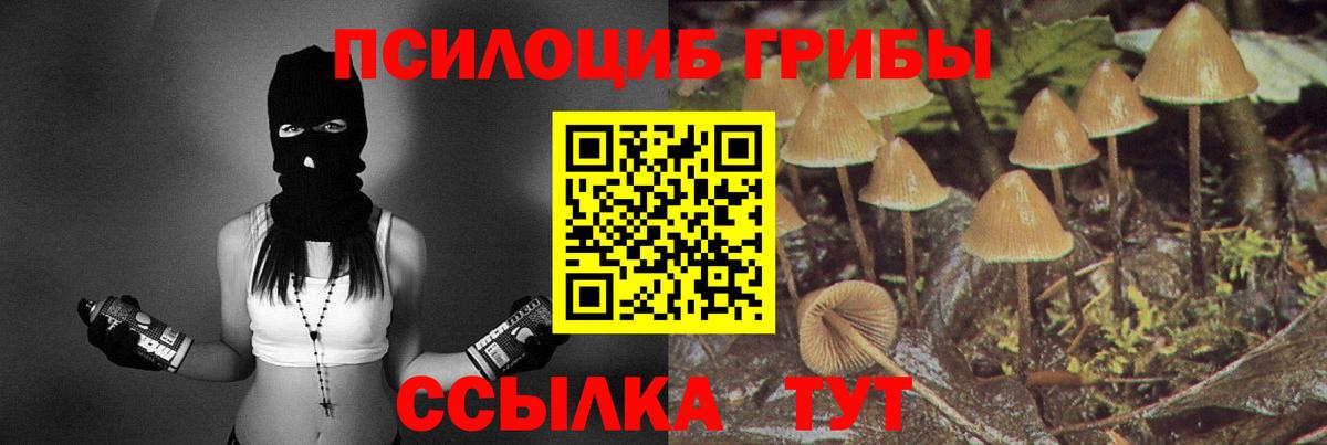Ялта  Псилоцибиновые грибы MAGIC MUSHROOMS  Вход с VPN 